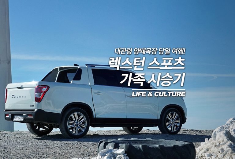 메인