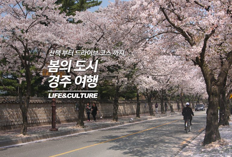 진짜메인