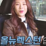 홍시카