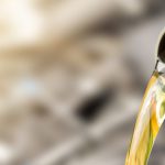 Pouring,Oil,To,Car,Engine.,Fresh,Oil,Poured,During,An